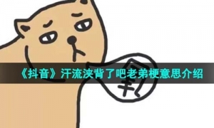 《抖音》汗流浃背了吧老弟梗意思介绍