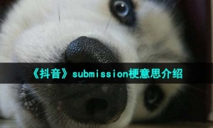 《抖音》submission梗意思介绍