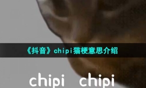 《抖音》chipi猫梗意思介绍