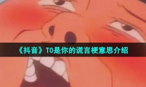 《抖音》T0是你的谎言梗意思介绍