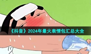 《抖音》2024年最火表情包汇总大全