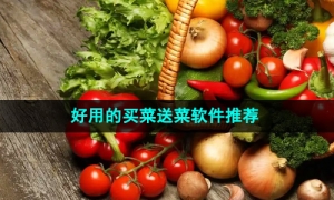 2024年好用的买菜送菜软件推荐