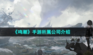 《鸣潮》手游所属公司介绍