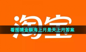 《淘宝》看图猜金额海上月是天上月答案