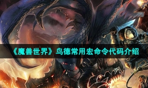 《魔兽世界》鸟德常用宏命令代码介绍