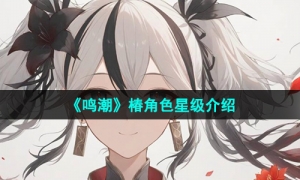 《鸣潮》椿角色星级介绍