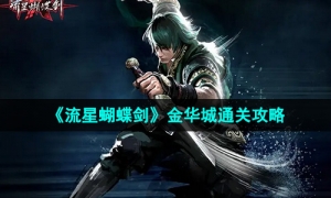 《流星蝴蝶剑》金华城通关攻略