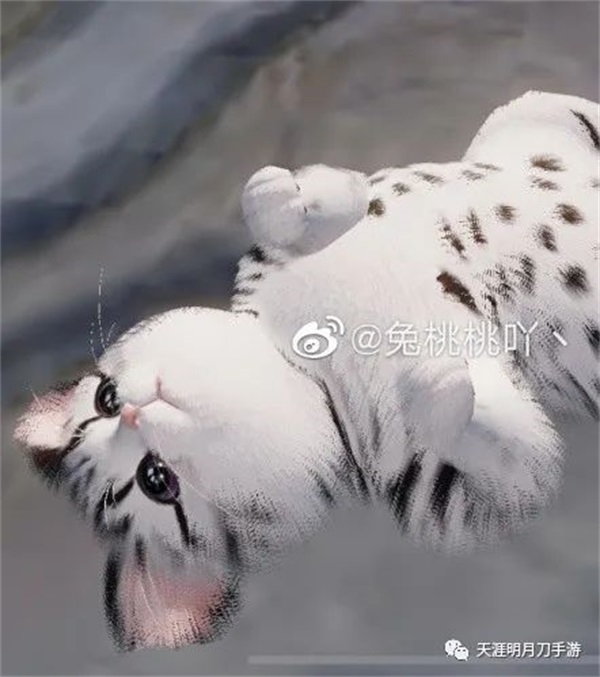 在天涯明月刀手游“养猫”是一种怎样的体验？