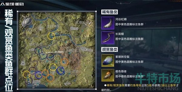 《星球重启》稀有鱼位置介绍