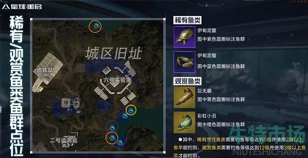 《星球重启》稀有鱼位置介绍