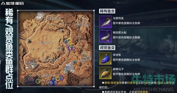《星球重启》稀有鱼位置介绍