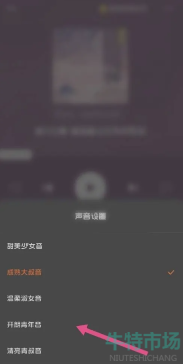 《番茄小说》切换听书声音方法