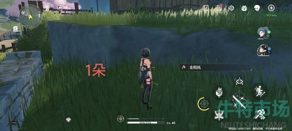 《鸣潮》手游金阳凤采集路线