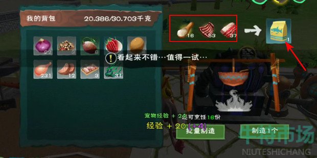 《创造与魔法》幼鲭鲨饲料制作方法