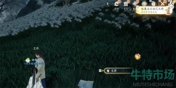 《射雕》海石榴花木雕获取方法