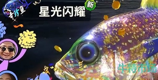 《欢乐钓鱼大师》最稀有的鱼介绍