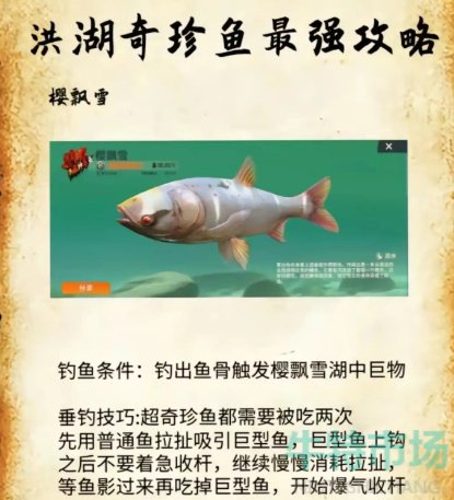 《欢乐钓鱼大师》洪湖最后两条鱼位置