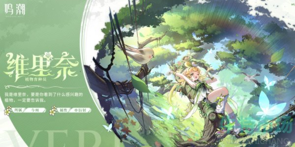 《鸣潮》手游今汐队伍搭配推荐